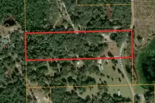 1142 Buckles Rd, Pierson, FL 32180 - Photo 34