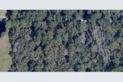 728 Osteen Maytown Road, Osteen, FL 32764 - Photo 2