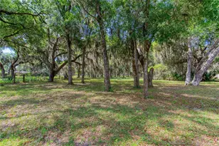 15 Maple St, Flagler Beach, FL 32136 - Photo 68