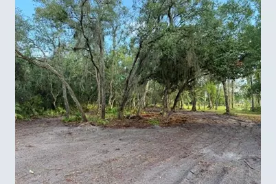Spring Garden Ranch Rd, De Leon Springs, FL 32130 - Photo 2