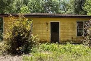 288 McMillon Dr, Orange City, FL 32763 - Photo 1
