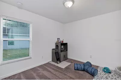1520 Baywood Village Court, Mount Dora, FL 32757 - Photo 26