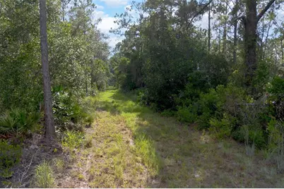 826 Frontier Trail, Osteen, FL 32764 - Photo 8