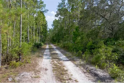826 Frontier Trail, Osteen, FL 32764 - Photo 10