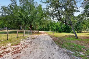 5390 East Ave, De Leon Springs, FL 32130 - Photo 38