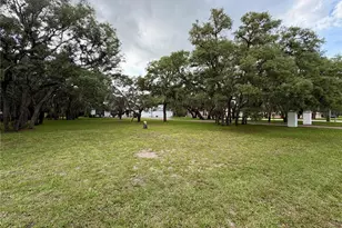 18749 Lansford Dr, Hudson, FL 34667 - Photo 6