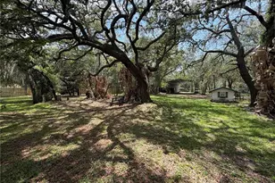 18749 Lansford Dr, Hudson, FL 34667 - Photo 42