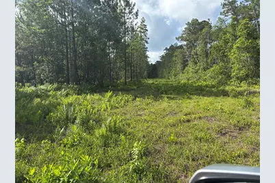 0 N US Hwy 17, Seville, FL 32190 - Photo 6