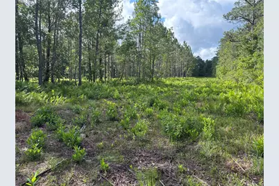 0 N US Hwy 17, Seville, FL 32190 - Photo 2