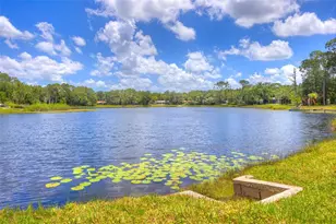 33 Willow Ln, Deland, FL 32724 - Photo 50