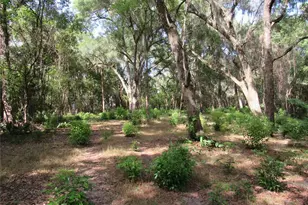 Oak Valley Dr, Deland, FL 32720 - Photo 1