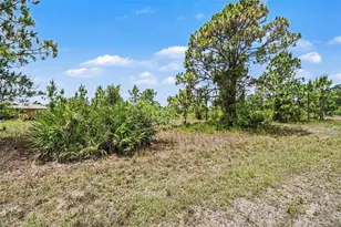 1046 Chandlee St, Lehigh Acres, FL 33974 - Photo 14
