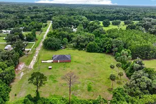 115 Tangelo Terrace, Crescent City, FL 32112 - Photo 46