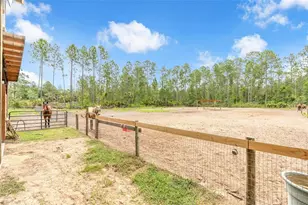 4823 Mahogany Blvd, Bunnell, FL 32110 - Photo 34
