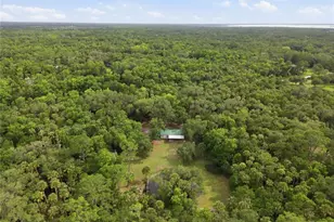 1900 Retreat Rd, Geneva, FL 32732 - Photo 18