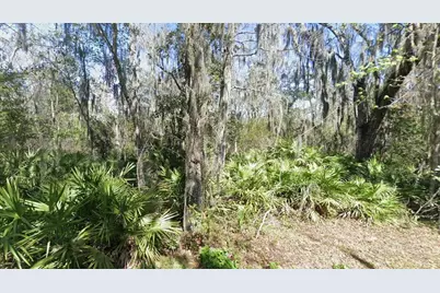 Riverwood Drive, Fleming Island, FL 32003 - Photo 8