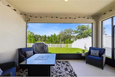 4005 Swan Goose Court, Okahumpka, FL 34762 - Photo 22