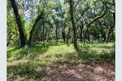 126 Lake Geneva Road, Georgetown, FL 32139 - Photo 6