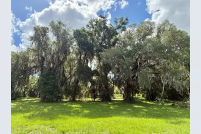 126 Lake Geneva Road, Georgetown, FL 32139 - Photo 12