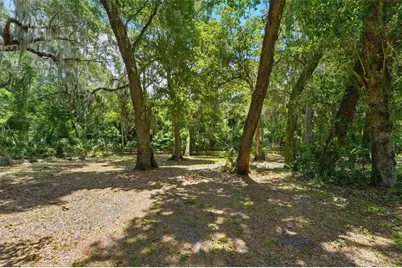 381 N Jungle Road, Geneva, FL 32732 - Photo 44