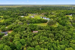 381 N Jungle Rd, Geneva, FL 32732 - Photo 52
