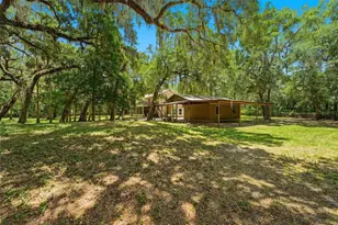 381 N Jungle Rd, Geneva, FL 32732 - Photo 44