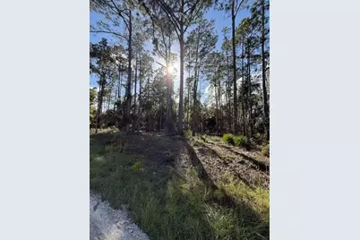 215 Hideaway Lane, Georgetown, FL 32139 - Photo 1
