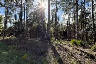 215 Hideaway Ln., Georgetown, FL 32139 - Photo 1