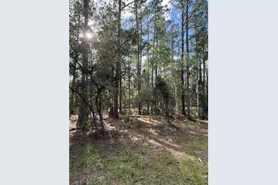 207 Ocala Court, Georgetown, FL 32139 - Photo 2