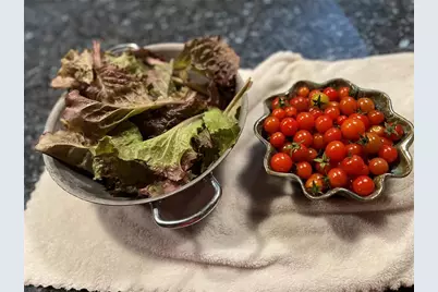 615 Art Center Avenue, New Smyrna Beach, FL 32168 - Photo 80