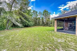 3040 Butler Ridge Rd, Deltona, FL 32738 - Photo 46