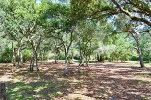 33135 Forest Ridge Rd, Deland, FL 32720 - Photo 6