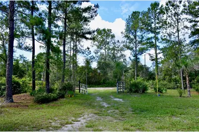 33135 Forest Ridge Road, Deland, FL 32720 - Photo 2