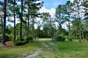 33135 Forest Ridge Rd, Deland, FL 32720 - Photo 2