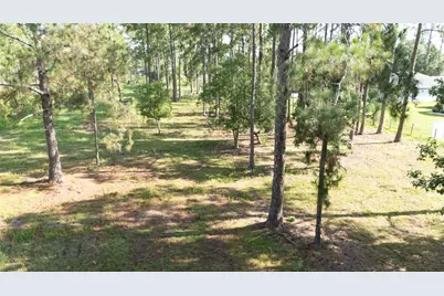 No Street, Deland, FL 32720 - Photo 4