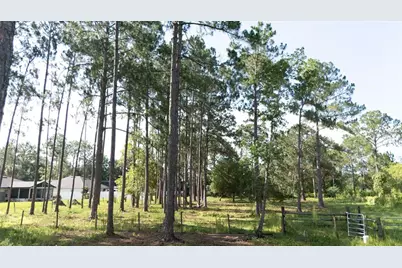 No Street, Deland, FL 32720 - Photo 8