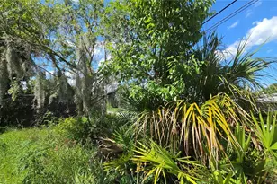 236 N Amelia Ave, Deland, FL 32724 - Photo 24