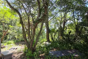 236 N Amelia Ave, Deland, FL 32724 - Photo 8