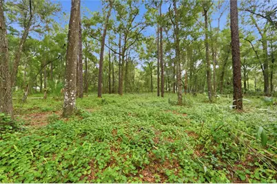 3800 Willow Avenue, Deland, FL 32720 - Photo 48