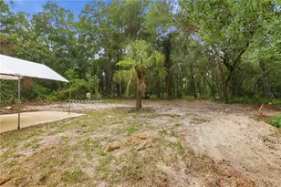3800 Willow Ave, Deland, FL 32720 - Photo 46