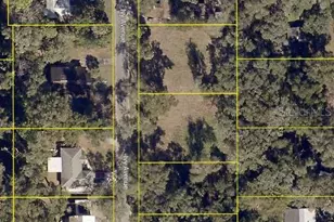 411 Ivy Ave, Deland, FL 32724 - Photo 6
