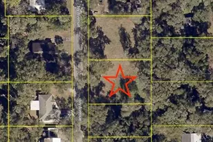 411 Ivy Ave, Deland, FL 32724 - Photo 2