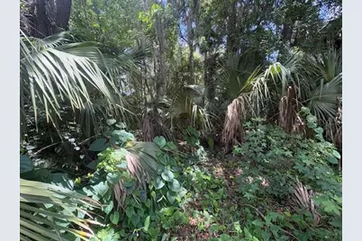 2263 Hontoon Road, Deland, FL 32720 - Photo 6