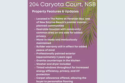 204 Caryota Court, New Smyrna Beach, FL 32168 - Photo 14