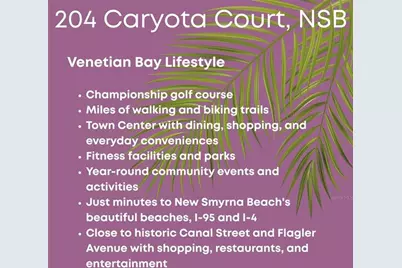 204 Caryota Court, New Smyrna Beach, FL 32168 - Photo 16