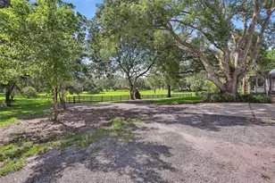 900 E Kicklighter ( 15+/- Acres) Rd, Lake Helen, FL 32744 - Photo 4