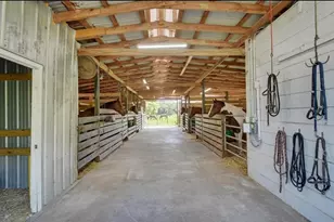 900 E Kicklighter ( 15+/- Acres) Rd, Lake Helen, FL 32744 - Photo 36