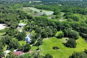 900 E Kicklighter (5 +- Acres) Rd, Lake Helen, FL 32744 - Photo 38