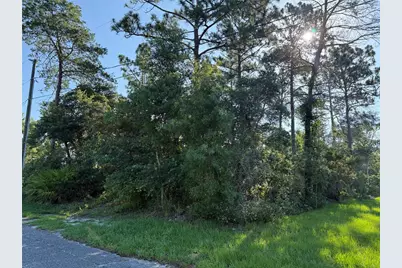 Hickory Avenue, Orange City, FL 32763 - Photo 1