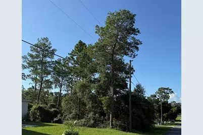 Hickory Avenue, Orange City, FL 32763 - Photo 2